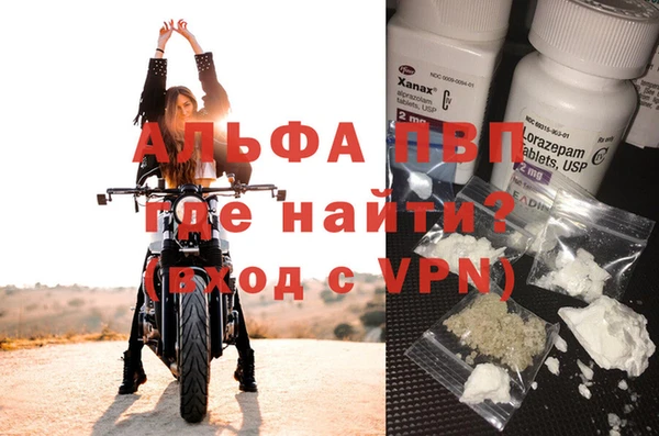 СК Зеленокумск