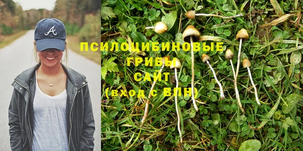 мет Зеленодольск