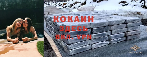 СК Зеленокумск